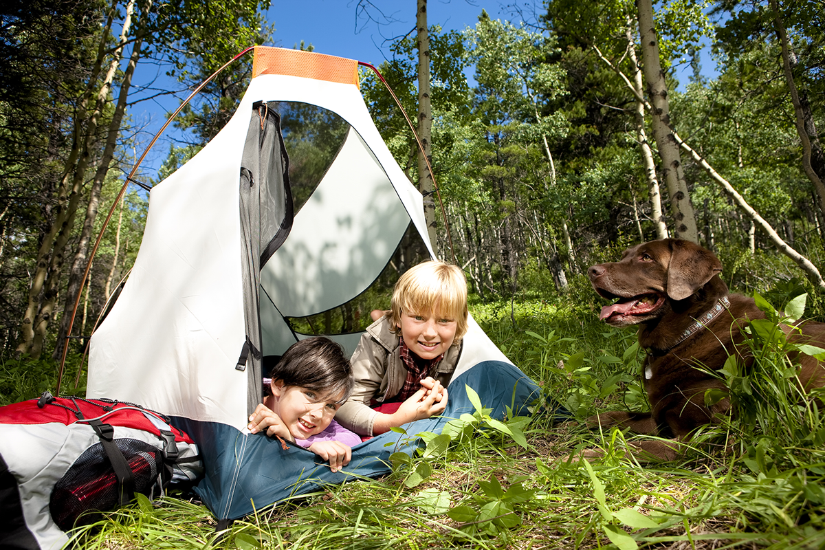 Children camping beside a wooded area at Custer Crossing Family Campground